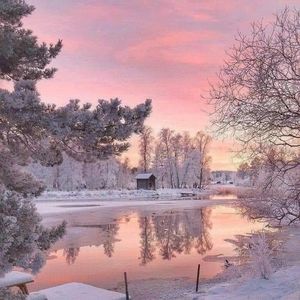 Meet your Posher, Mary anne